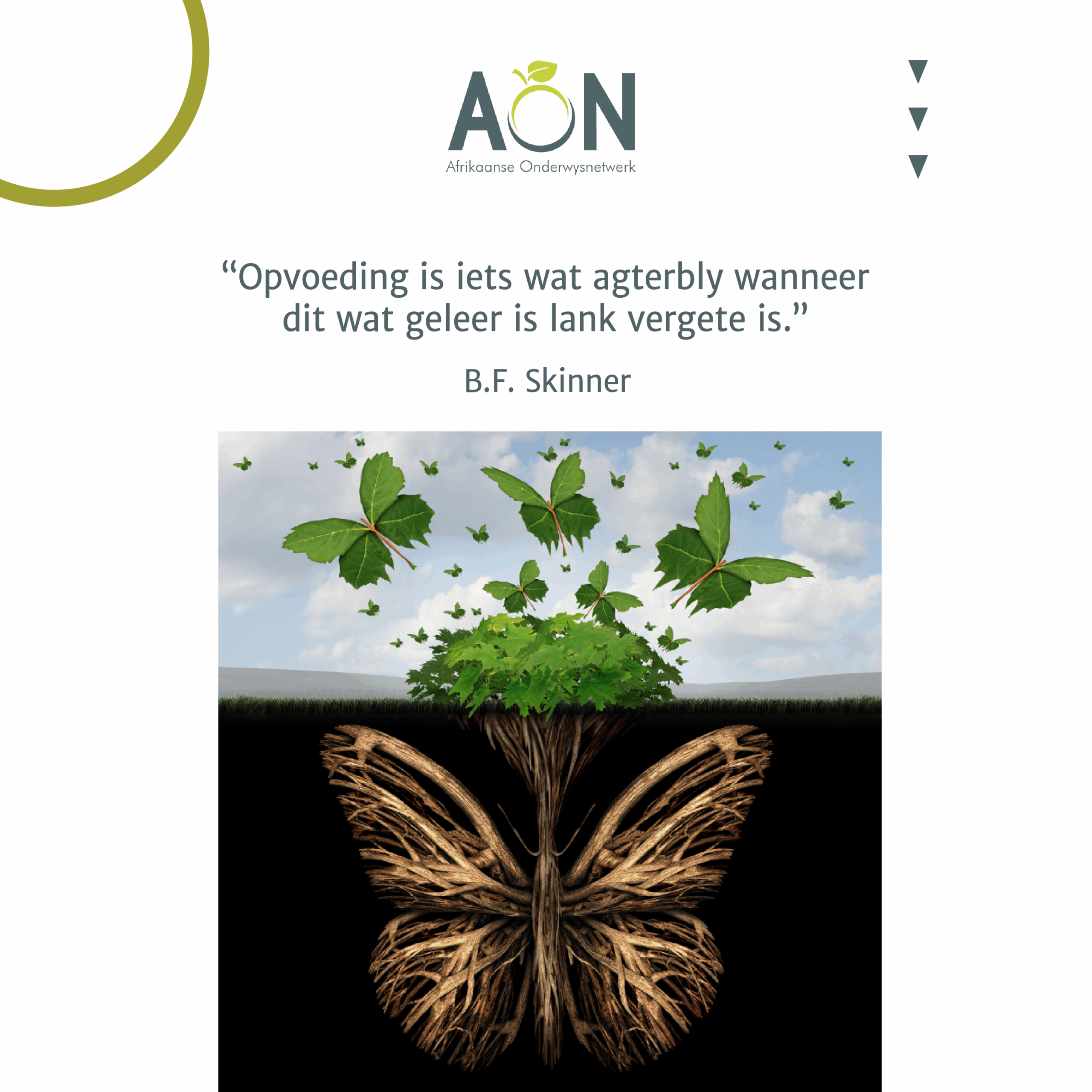 Bondel 11_QUOTES-02