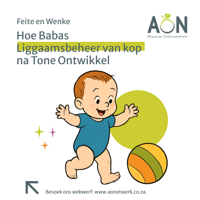 Dekblad_Hoe Babas Liggaamsbeheer van Kop na Tone Ontwikkel